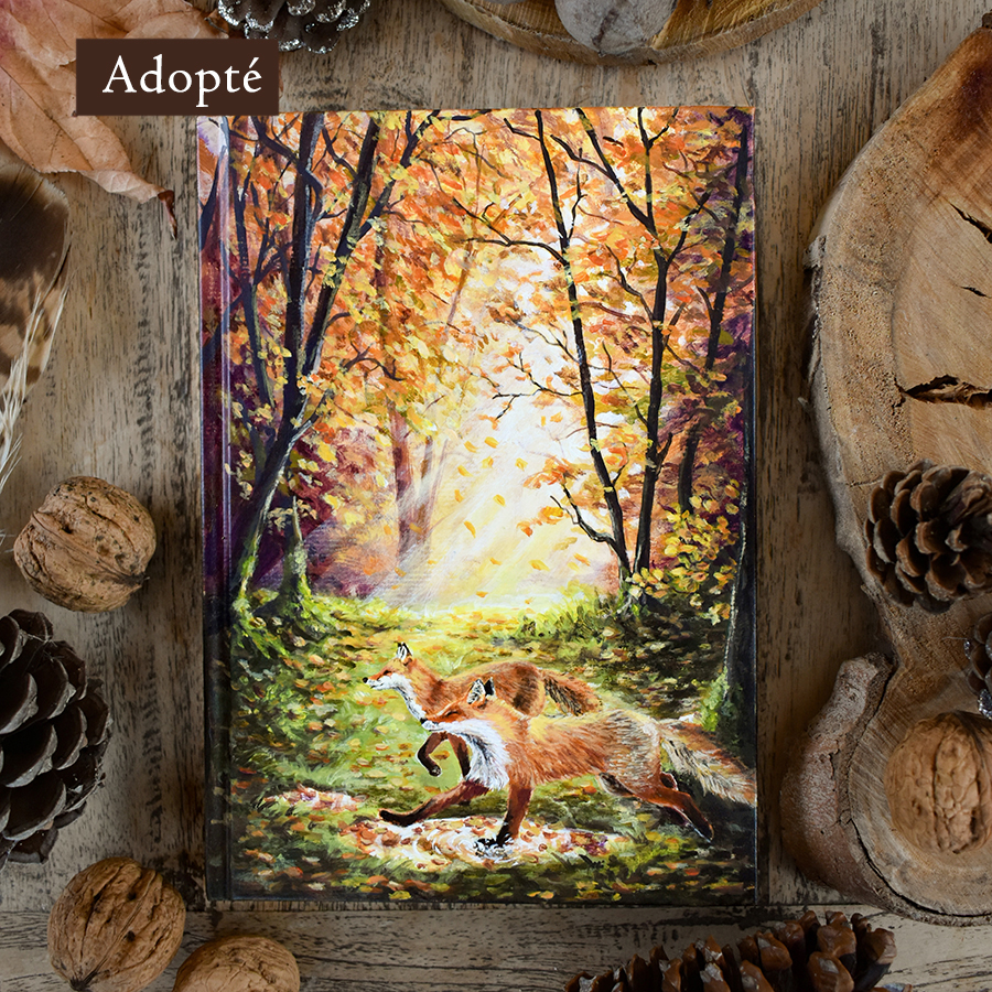 Carnet "Allégresse"