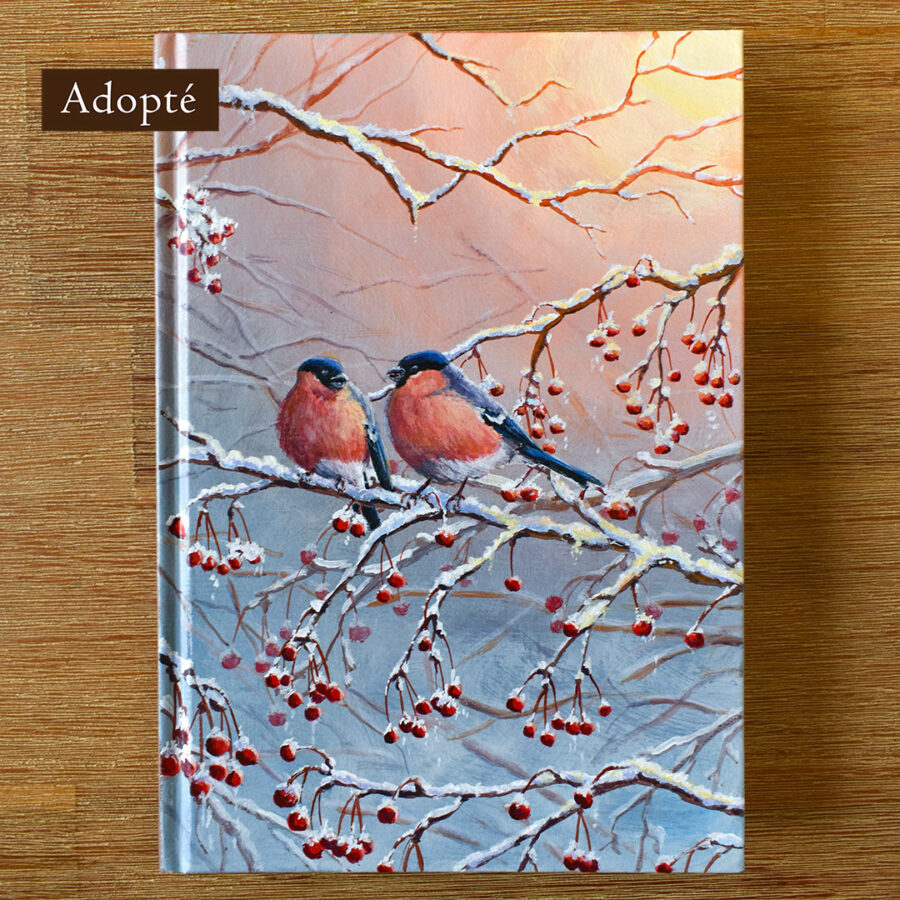 Carnet "Douceur Matinale"