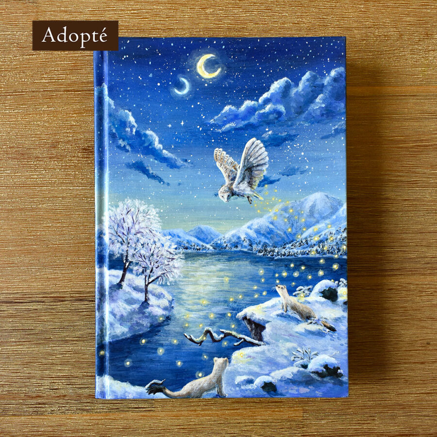 Carnet "Lueurs Célestes"