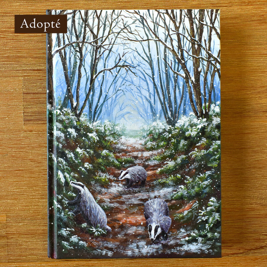 Carnet "Premiers Flocons"