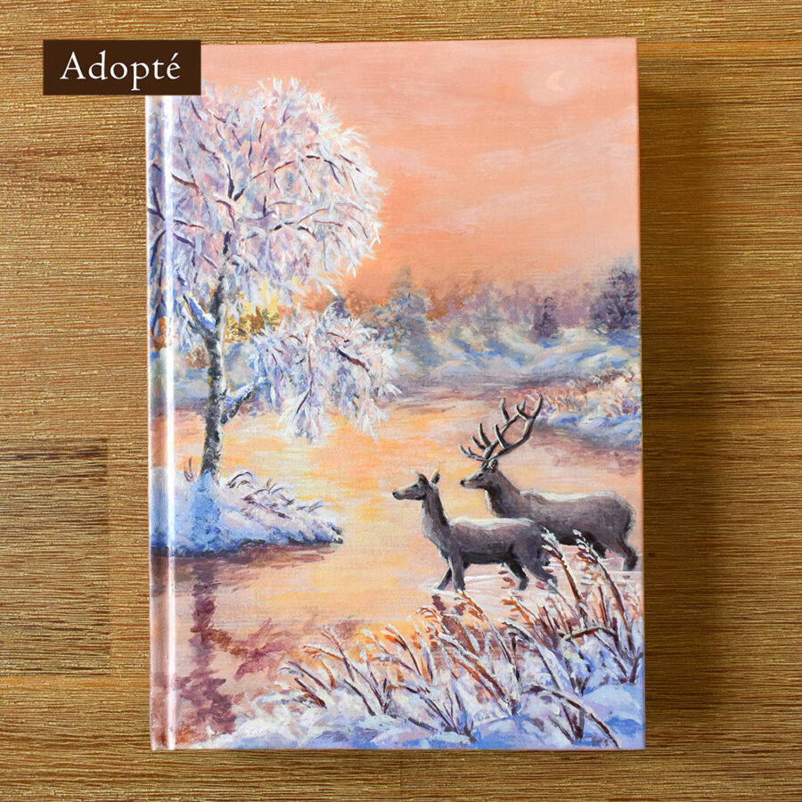 Carnet "Traversée Givrée"