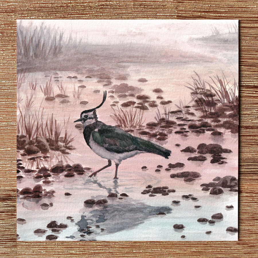 Carte de vœux "Petit Prince des Marais"