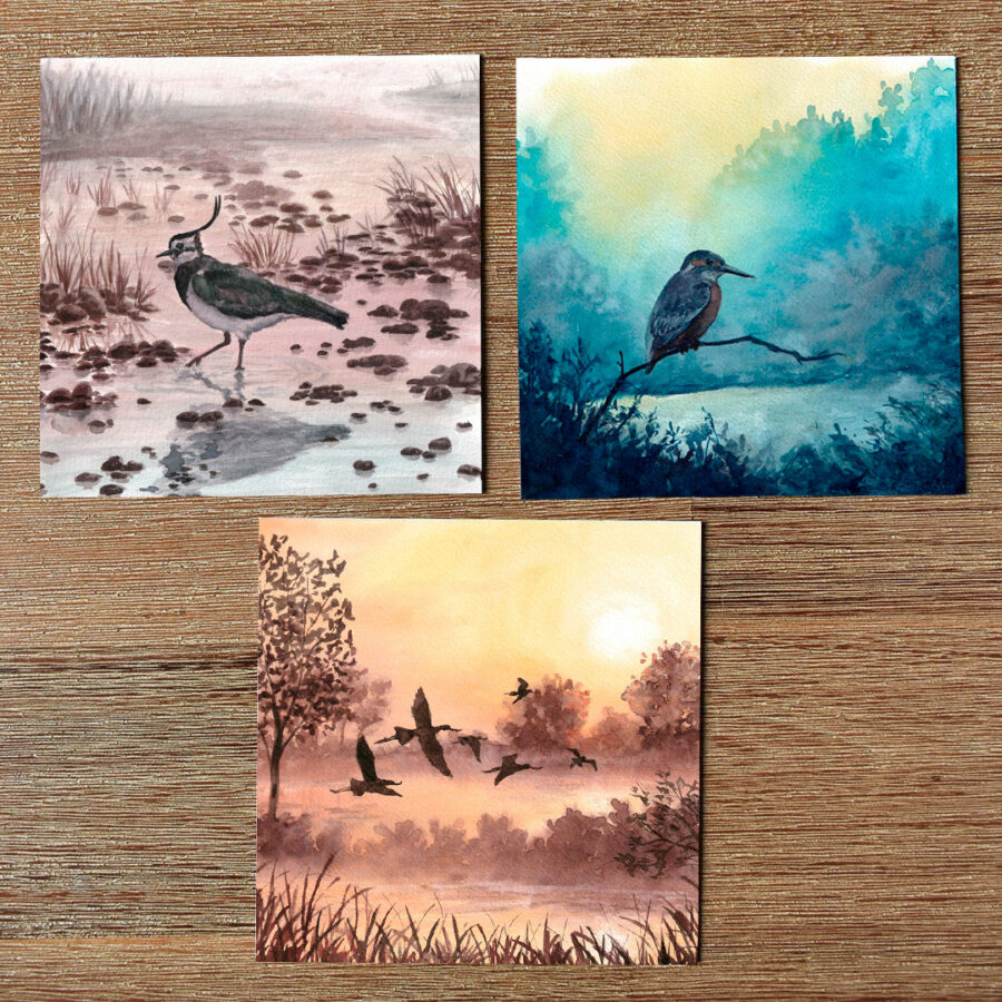 Set de 3 cartes "Les Ombres du Marais"